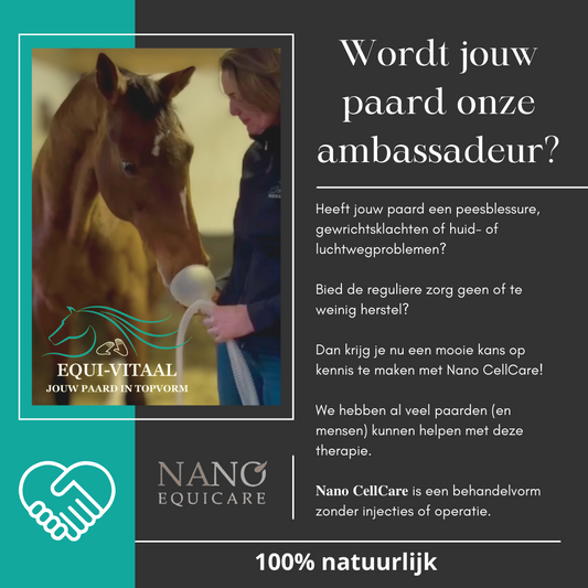 Wordt jouw paard onze ambassadeur?