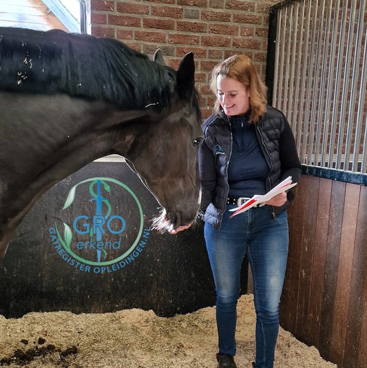🥳 Opleiding Sportmassage voor Paarden erkend GAT Register Opleidingen