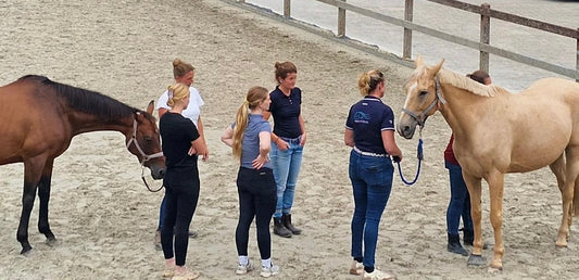 Evenementen