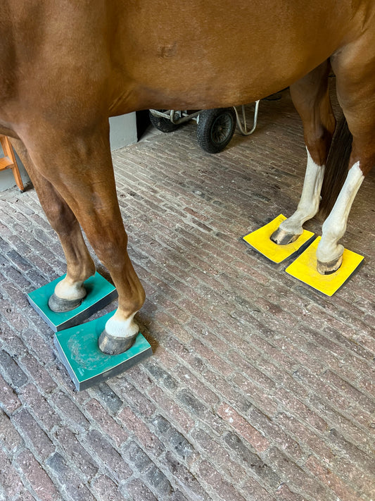 Kunnen Hoefbalanskussens echt bijdragen aan een verbeterde balans bij paarden?