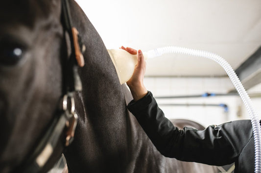 Kijkje in de keuken bij: Equi Plaza Europe & Nano Equicare
