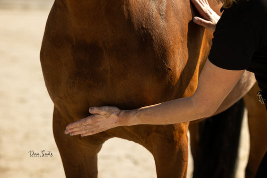 🐎 Extra start Opleiding Sportmassage!
