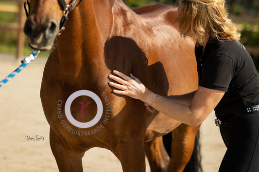 Equi-Vitaal is geregistreerd bij het CRKBO