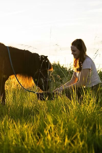 Hoe voeding de resultaten van massage bij je paard kan versterken