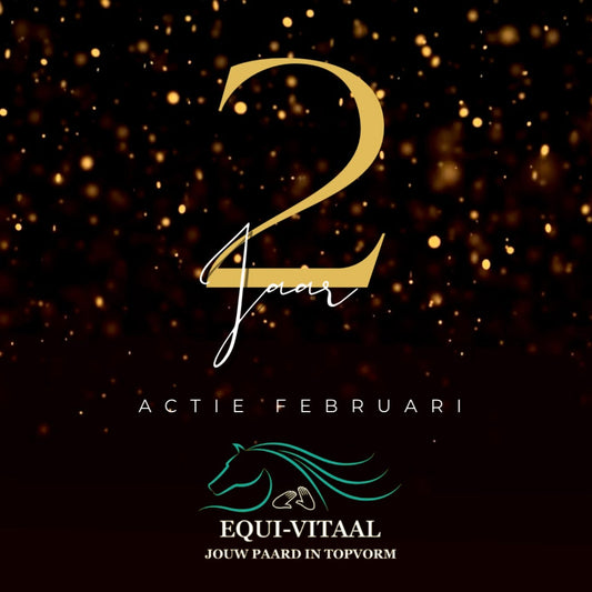 Actie februari 2025