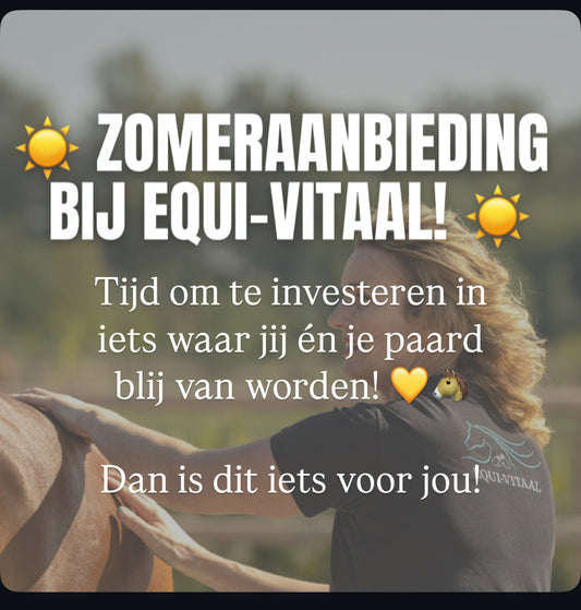 Zomeraanbieding 