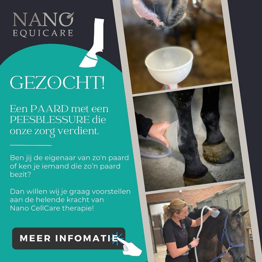 Gezocht: Paarden die onze zorg verdienen met Nano CellCare therapie