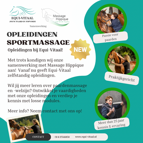 📢 Nieuwe samenwerking: Equi-Vitaal & Massage Hippique!