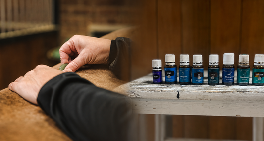 Nieuw bij Equi-Vitaal: Essentiële Oliën & Werken met Stenen en Chakra's