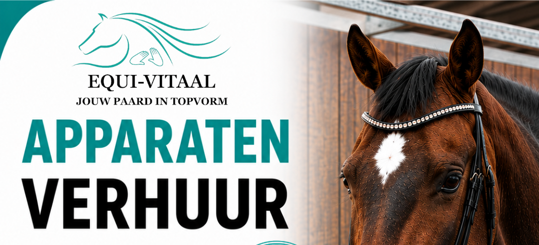 Tijdelijke ondersteuning, gewoon bij jou op stal of thuis