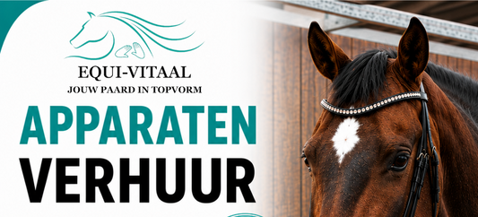 Tijdelijke ondersteuning, gewoon bij jou op stal of thuis