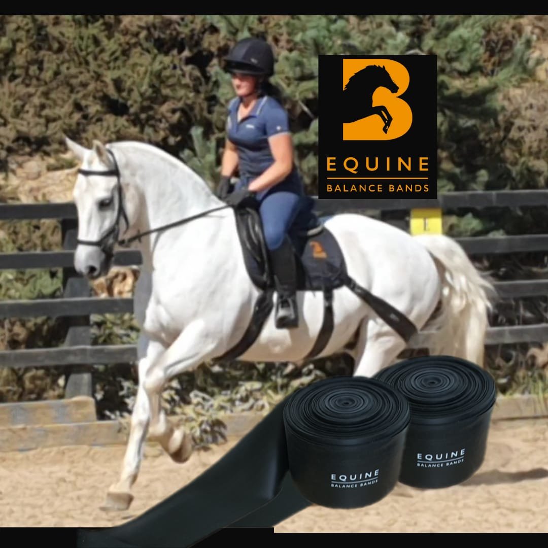 Equine Balans Banden/Equine Balance Bands