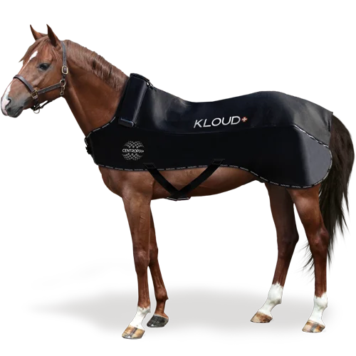 Centropix Kloud Vet Set compleet