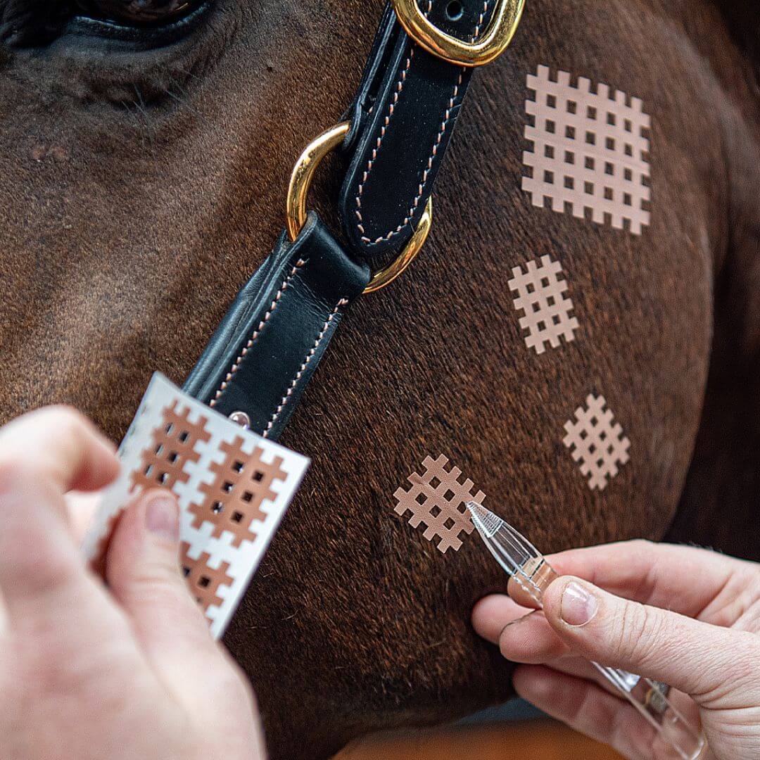CrossLinq® – VET, rasterpleisters voor dieren