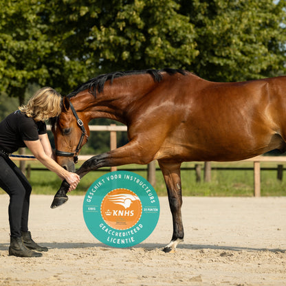 Cursus Move to Release