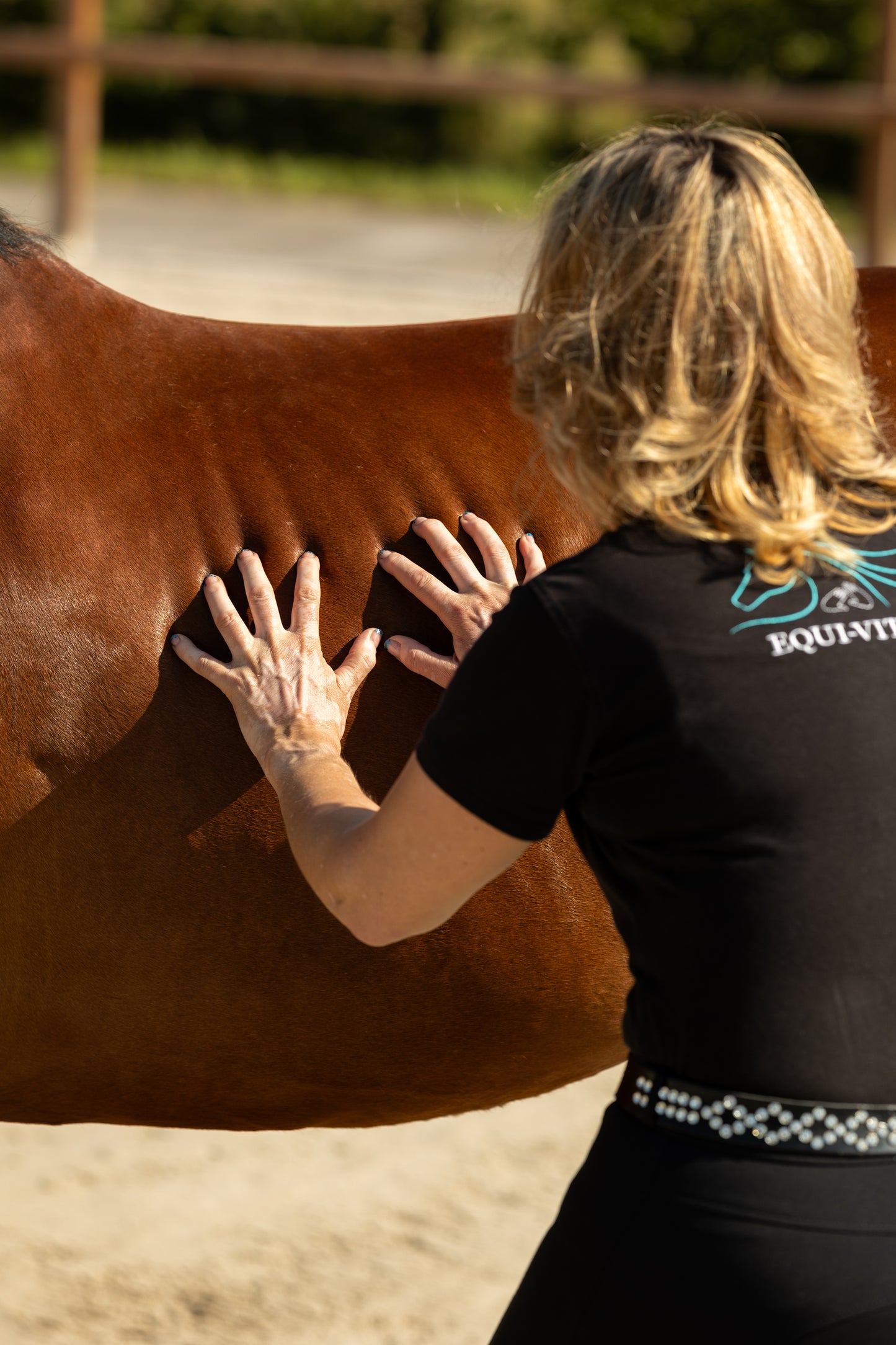 M21 Equine Core Release Bundel