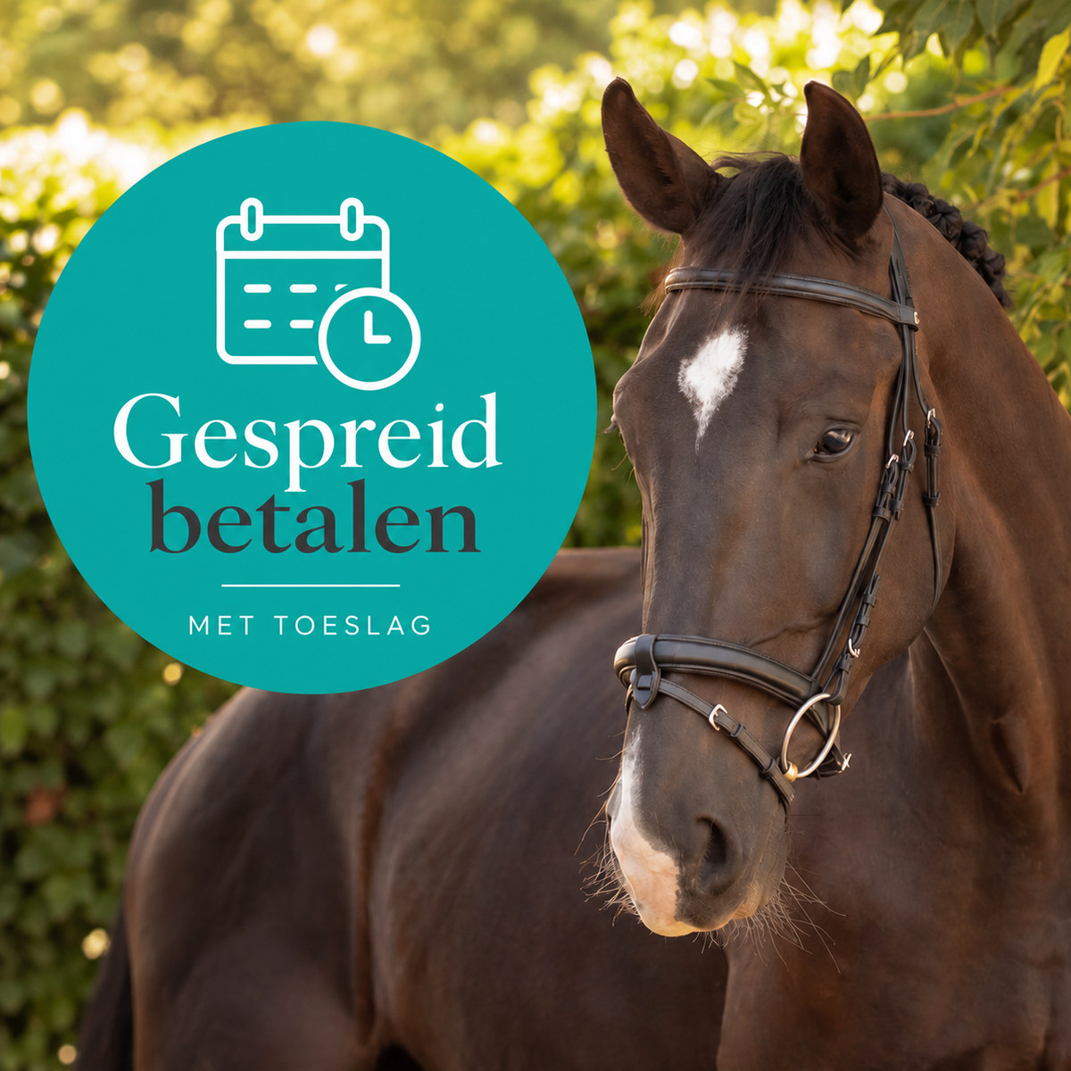 ◷ – Betaling in termijnen