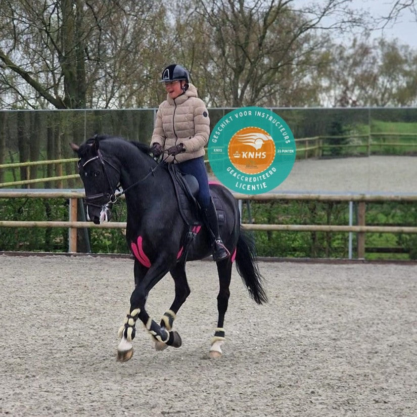 Cursus Tapen en Trainen