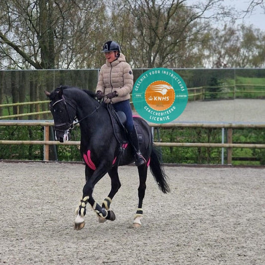 Cursus Tapen en Trainen