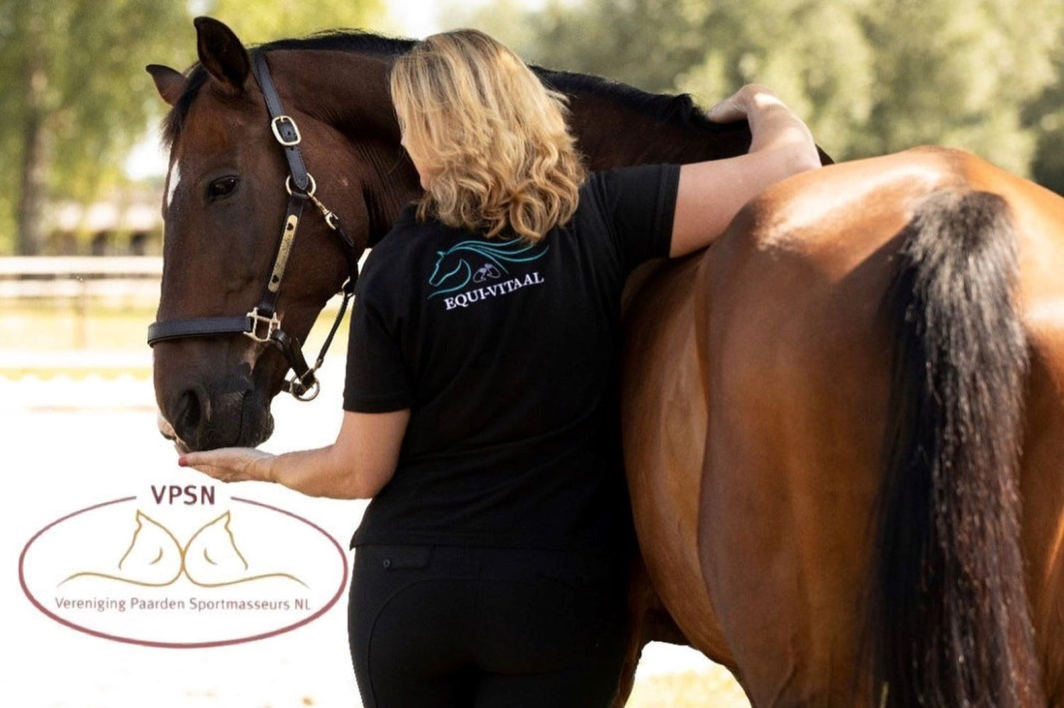 Equi-Vitaal - Jouw paard in topvorm – Equi-vitaal | Jouw paard in Topvorm